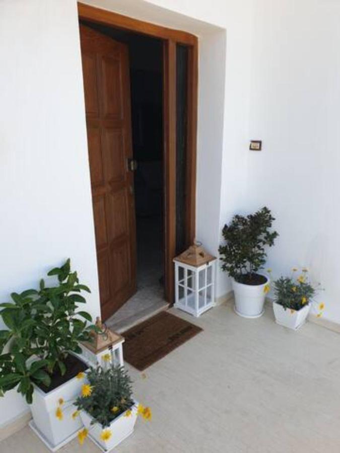 Palaikastro Holiday Apartment Sitia  Bagian luar foto