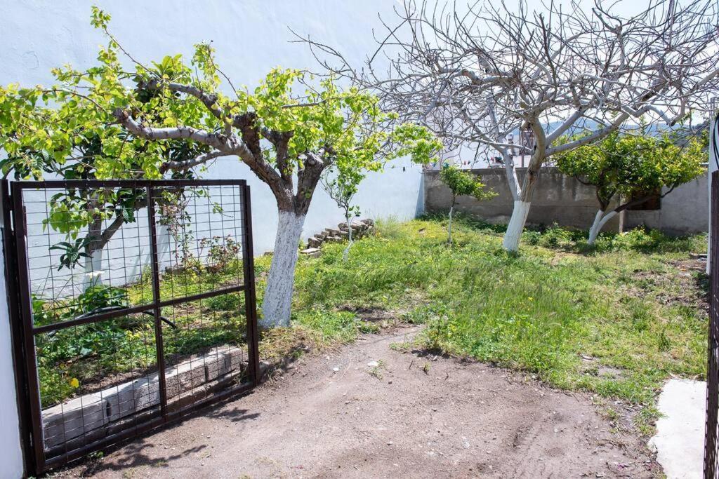Palaikastro Holiday Apartment Sitia  Bagian luar foto